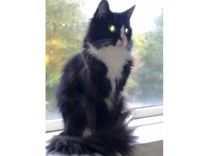 {{currentPhoto.altText}} billede {{currentPhoto.number}}