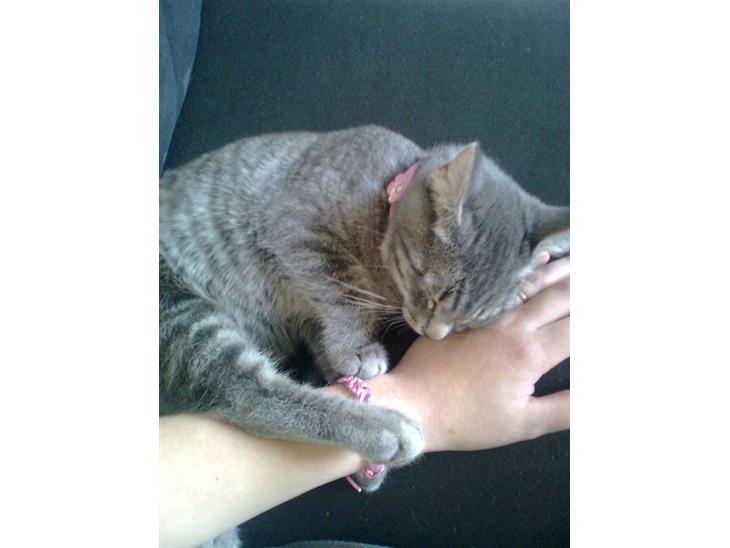 {{currentPhoto.altText}} billede {{currentPhoto.number}}