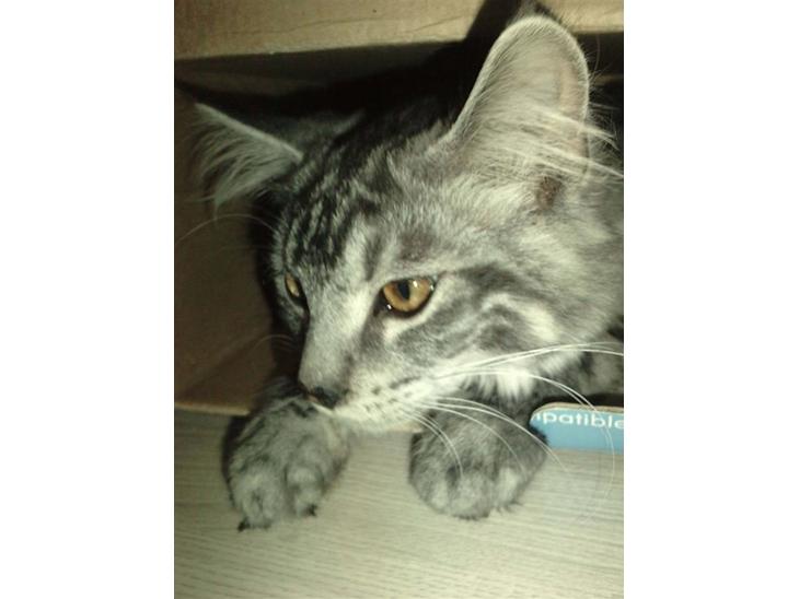 {{currentPhoto.altText}} billede {{currentPhoto.number}}