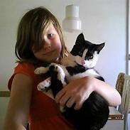 Huskat Fedtmule (givet væk) :'[