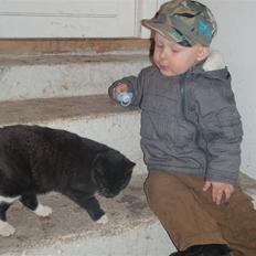 Huskat Prinsessen *INTERNAT*