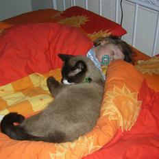 Blanding af racer Smokey Jaw-jaw R.I.P<333