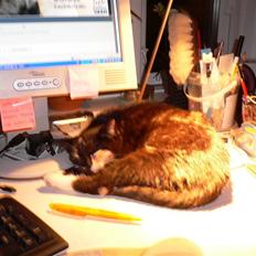 Blanding af racer R.I.P Lundini (grimmemis)