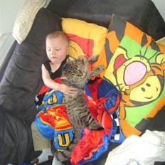 Blanding af racer Molly (SOLGT)