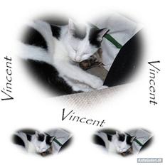 Huskat Vincent *R.I.P.1.-7.2010*