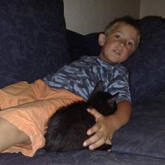 Huskat Emil (RIP den 9/1-10)