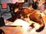 Blanding af racer R.I.P Lundini (grimmemis) - Nyder varmen fra lampen