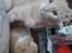 Huskat Mister/Psyko Mis