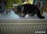 Blanding af racer Minnie You |Mivs| - Tak fordi i kiggede med: D