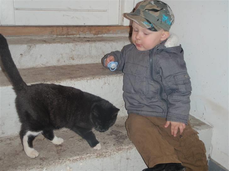 Huskat Prinsessen *INTERNAT* billede 3