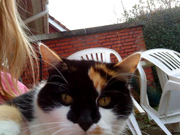 Huskat Missemor. VÆK! :( billede 17