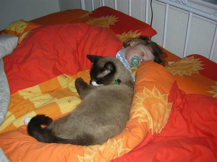 Blanding af racer Smokey Jaw-jaw R.I.P<333 - Jeg passer på min ´´mors´´ niece :-) billede 2