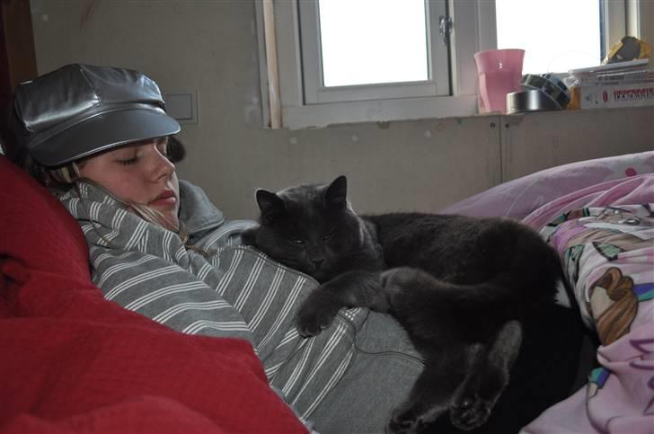 Huskat Isak billede 17