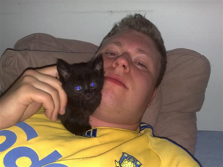 Huskat Laban (død 21.4.2010) - Laban og far (4 uger gammel) billede 4