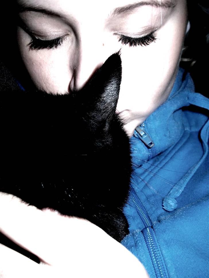 Huskat Frida - mhh <3 elsker dig kat billede 11