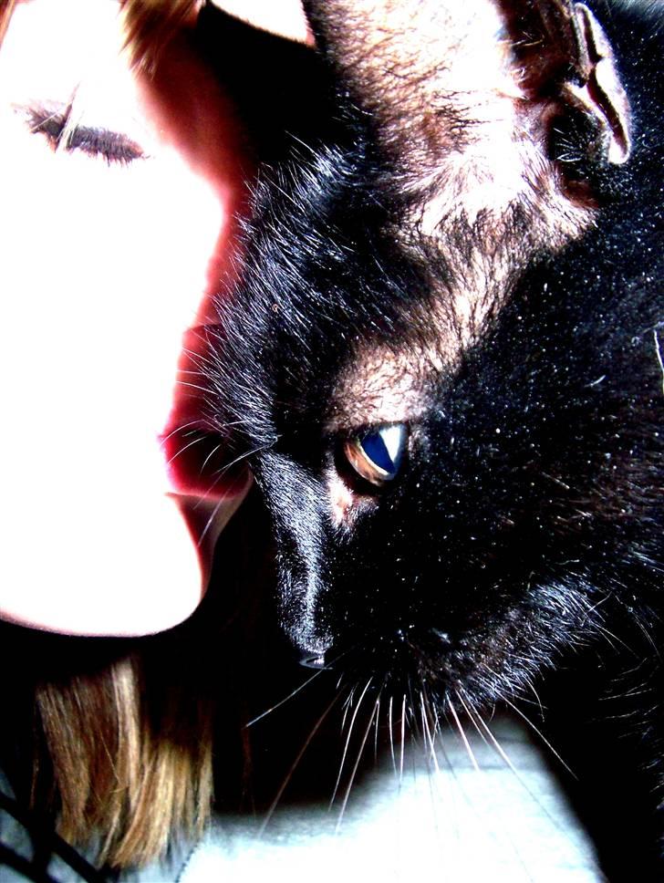 Huskat Frida - love you billede 13
