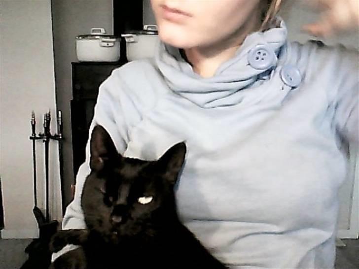 Huskat Frida - ay ay captain. - webcam.  billede 15