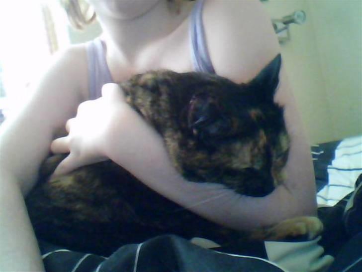 Huskat Biscuit R.I.P - Den søtte misser er blevet lidt trætto.. billede 3