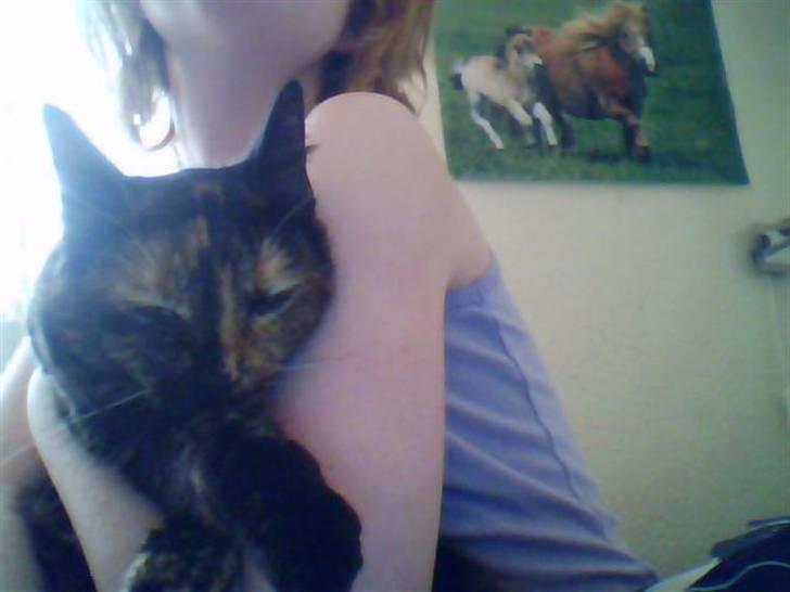 Huskat Biscuit R.I.P - Kan du så vinke til dem Biscuit?  billede 5