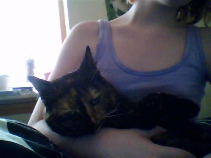 Huskat Biscuit R.I.P - Træt træt og atter træt... billede 6