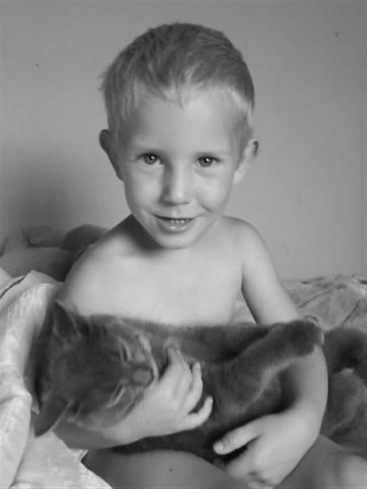 Huskat Bølle ( Død )  - marc og bølle..  billede 12