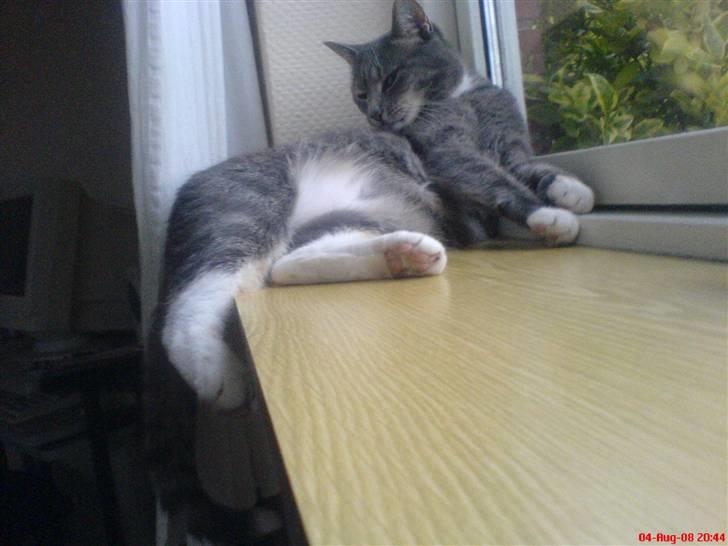 Huskat mille billede 5