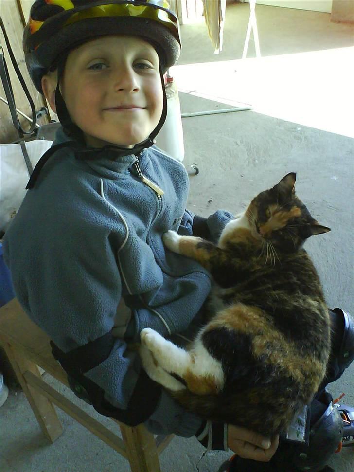 Blanding af racer Sigge - Sigge og mig billede 7