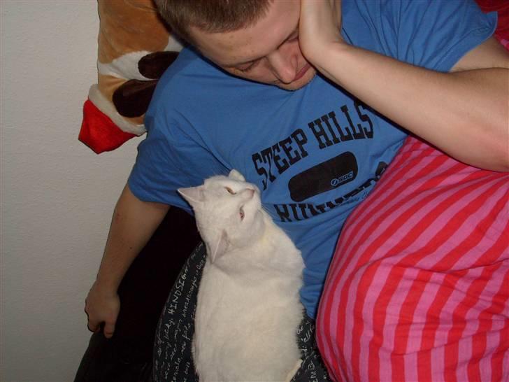 Blanding af racer Gizmo - inde i varmen igen ahh :) billede 10