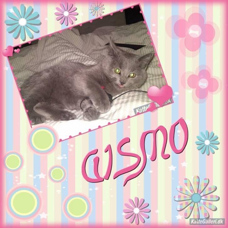 Huskat Gismo R.I.P billede 1