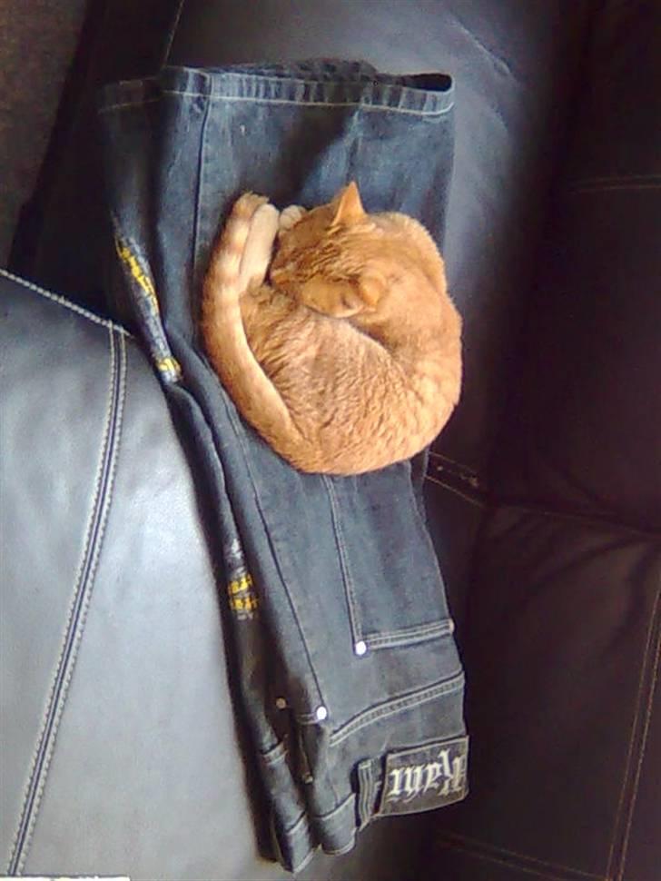 Huskat Muster billede 6