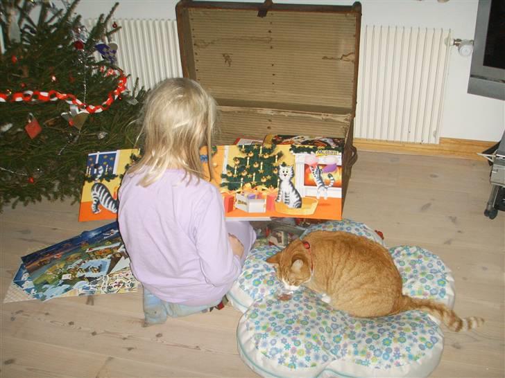 Huskat Prinsesse Kaj billede 9