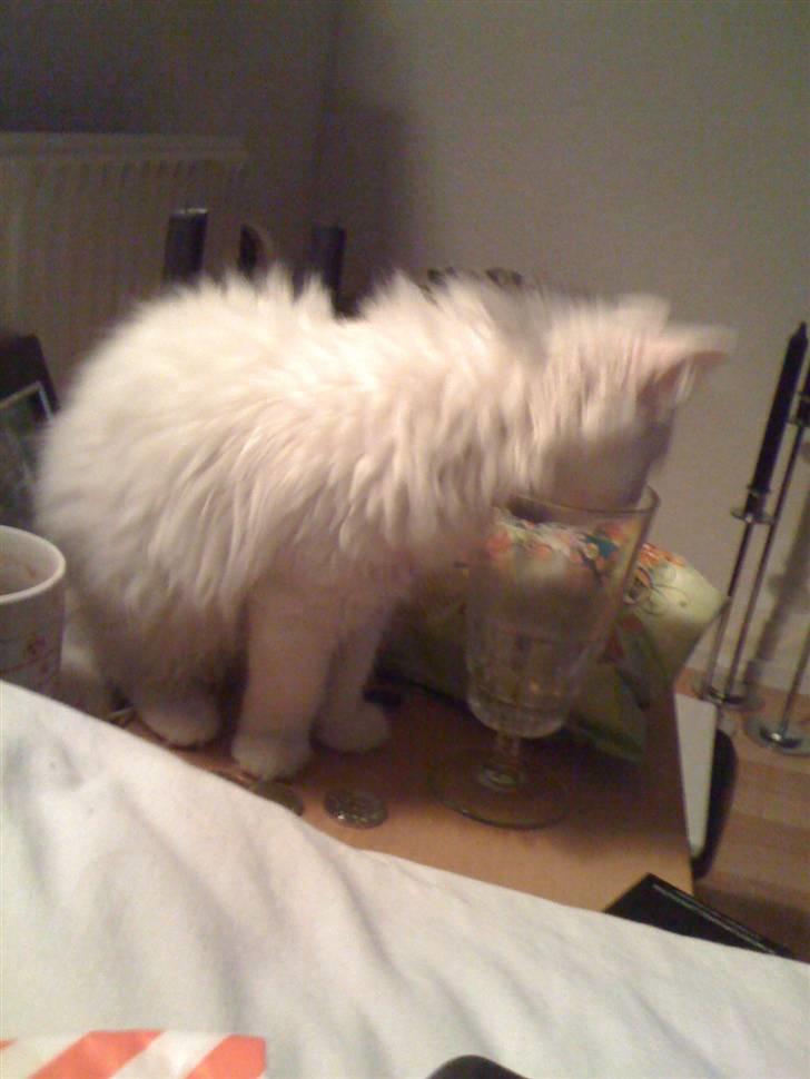 Blanding af racer Blobber R.I.P. :'( <3 billede 2