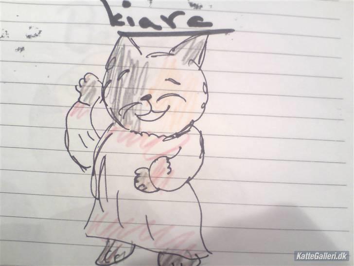 Blanding af racer kiara(min mors)(død) billede 16