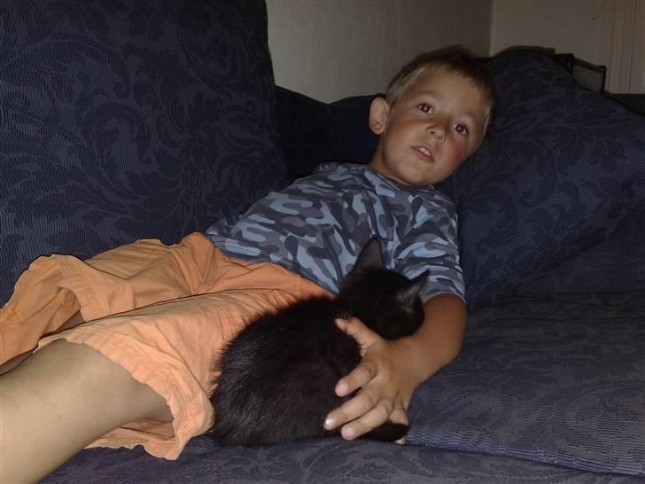 Huskat Emil (RIP den 9/1-10) billede 3