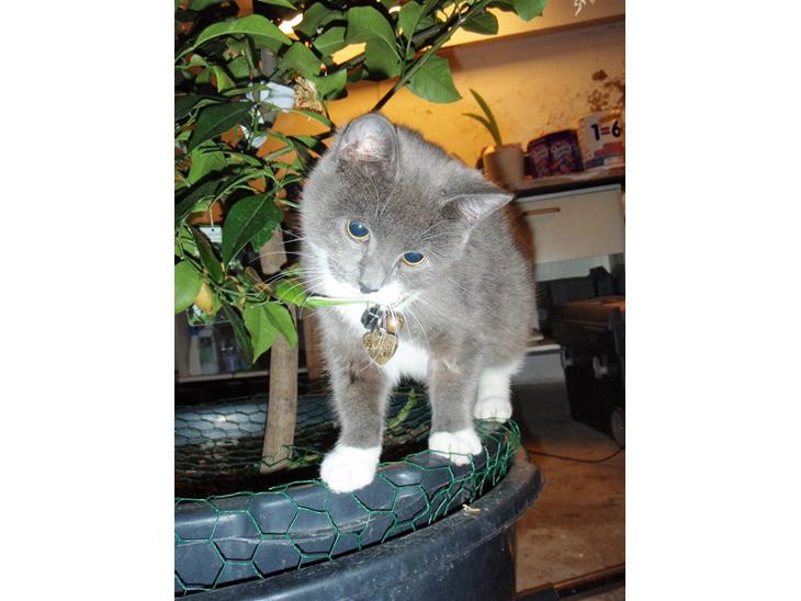 {{currentPhoto.altText}} billede {{currentPhoto.number}}