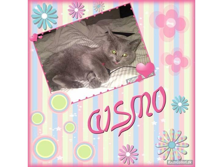 Huskat Gismo R.I.P billede 1