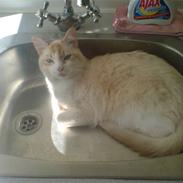 Blanding af racer Smeagol