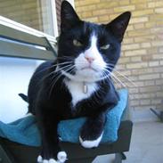 Blanding af racer Miller