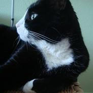 Blanding af racer Miller