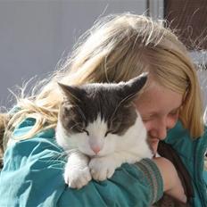 Blanding af racer OLIVER<3 *Sov sødt min engel :-'(<3*