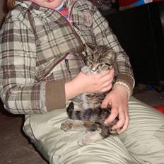 Blanding af racer Junior *RIP*