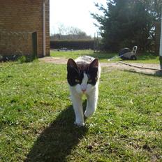 Blanding af racer Trine *Væk* :'(