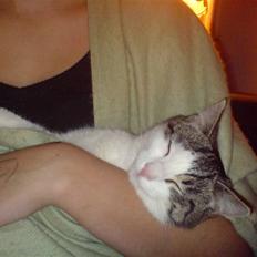 Huskat George Clooney