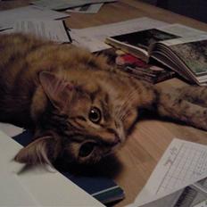 Blanding af racer Trille