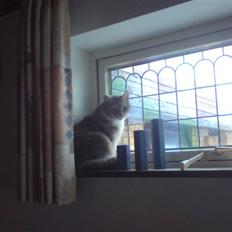 Huskat Misser R.I.P ):