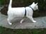 Huskat Mille