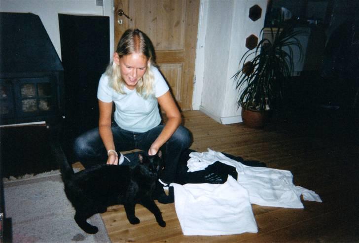 Huskat Buster Origon Mortensen billede 5