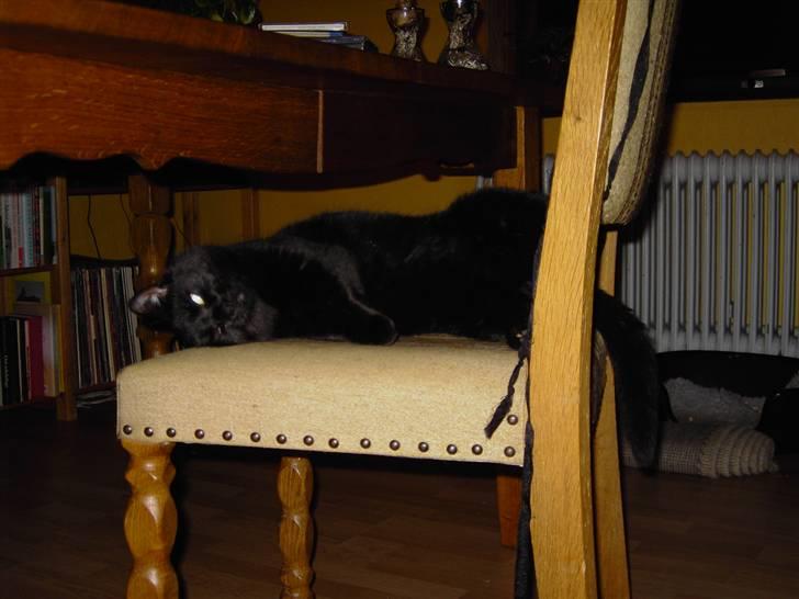 Huskat Snus billede 7