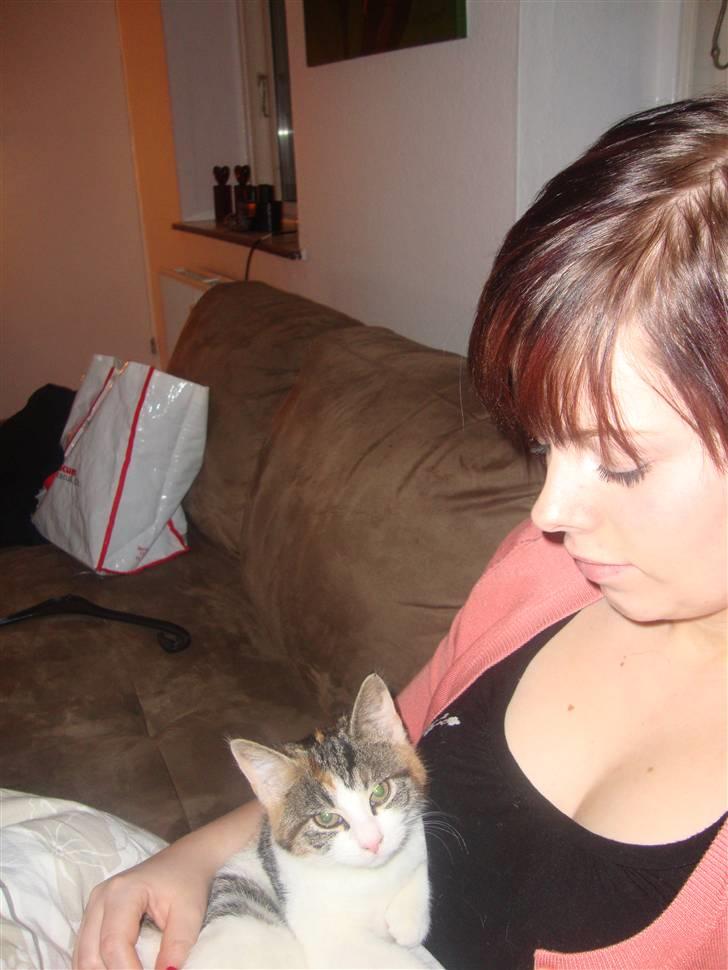 Huskat Miv =)  billede 10