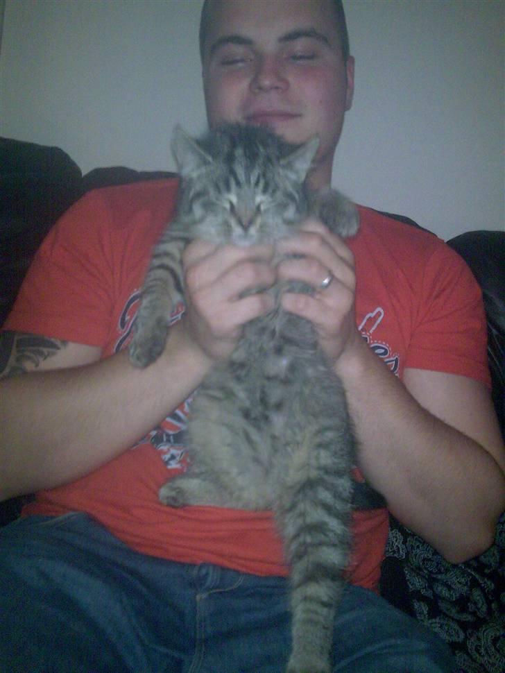 Huskat Valde R.I.P - Første dag i sit nye hjem :) billede 2